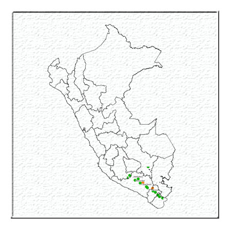 INFORMACIÓN IGP