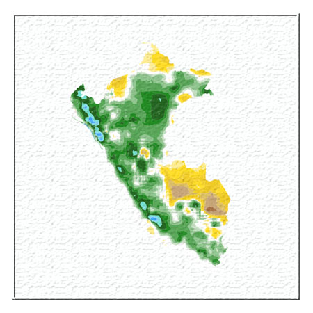 Precipitación Niño 2017